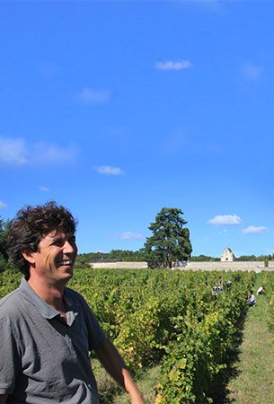 Photographie des vignes du domaine de l'oubliée